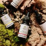 Affordable CBD Gummies for Pain: Relief on a Budget